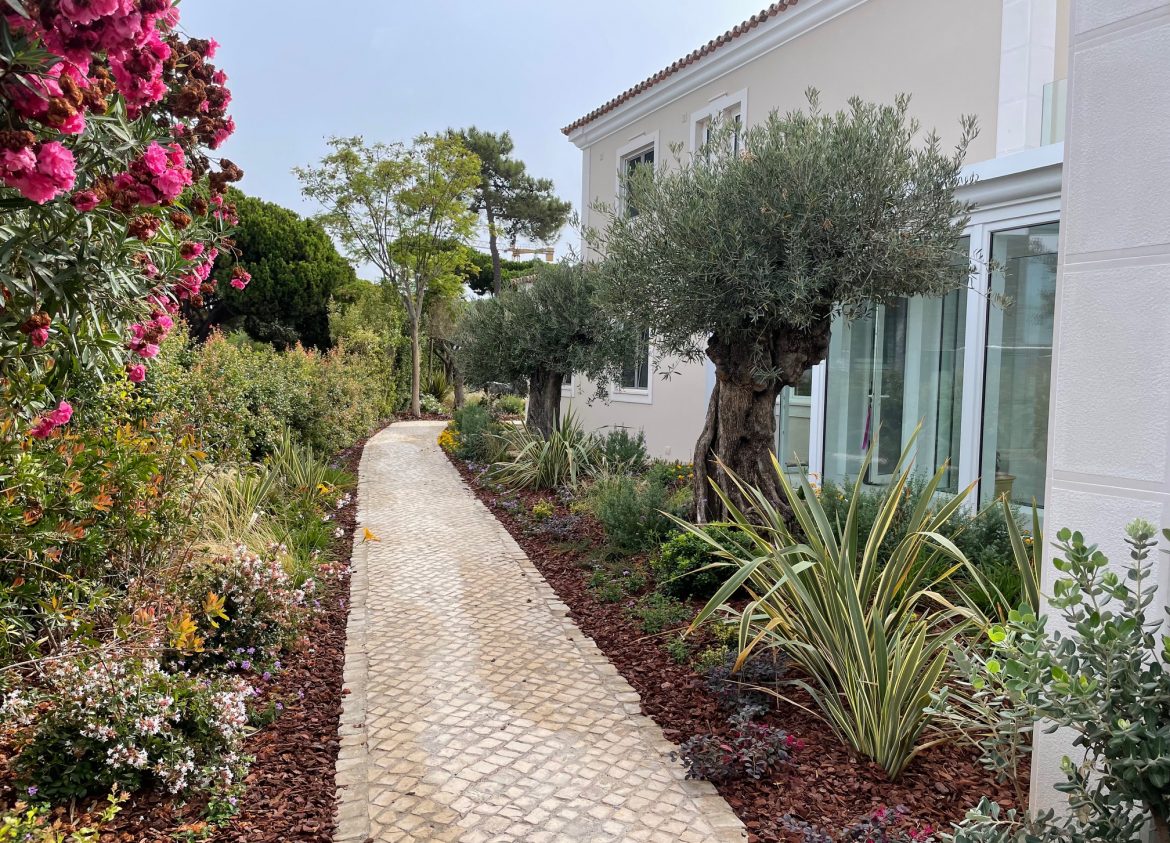 Algarve garden low maintenance